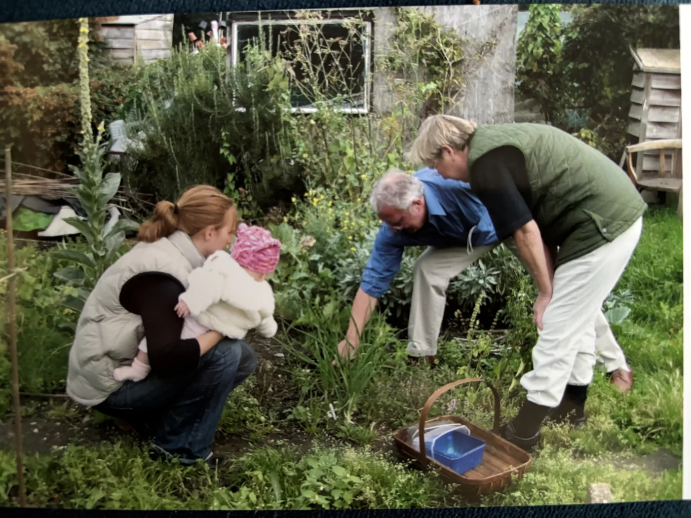 Plot holders bending over beds on an allotment, with a basket on the ground