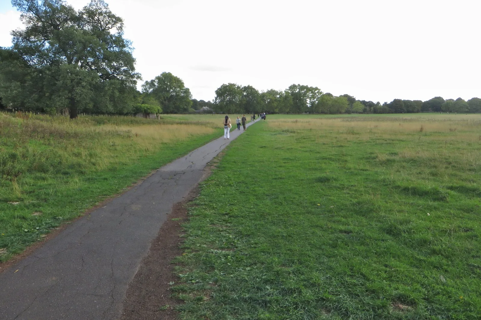 A path across Petersham Meadows, between Richmond Hill and the Thames